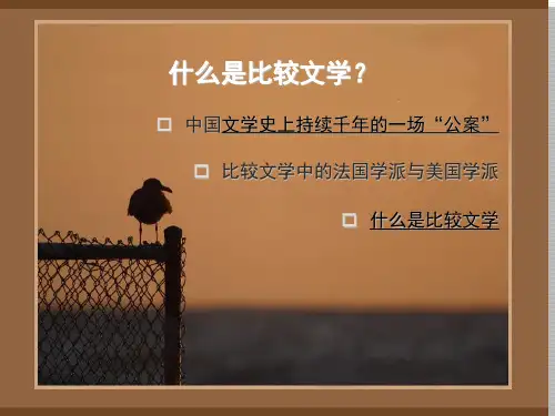 3比较文学是什么课件1