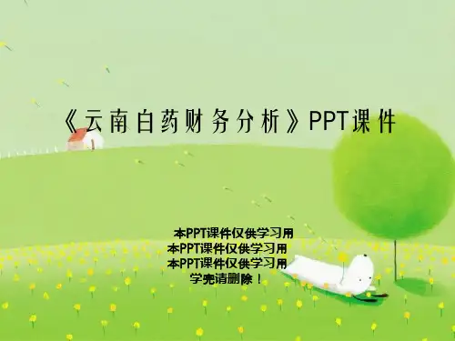 《云南白药财务分析》PPT课件