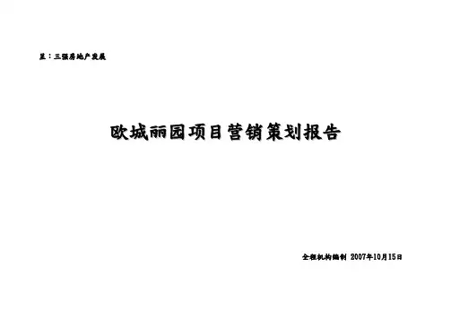 某项目营销策划报告