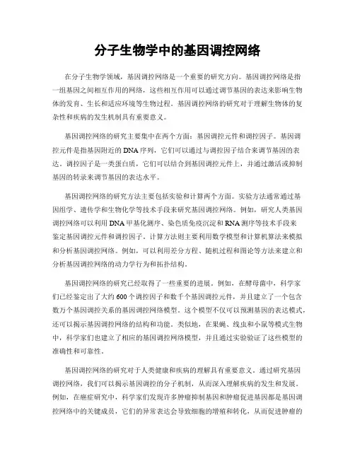 分子生物学中的基因调控网络