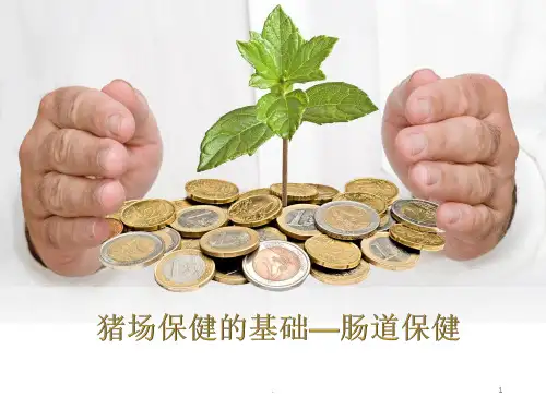 猪群健康的基础肠道保健ppt课件