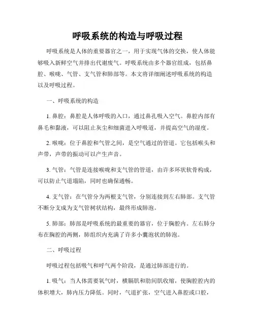 呼吸系统的构造与呼吸过程
