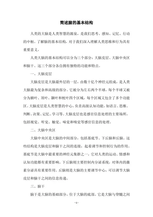 简述脑的基本结构