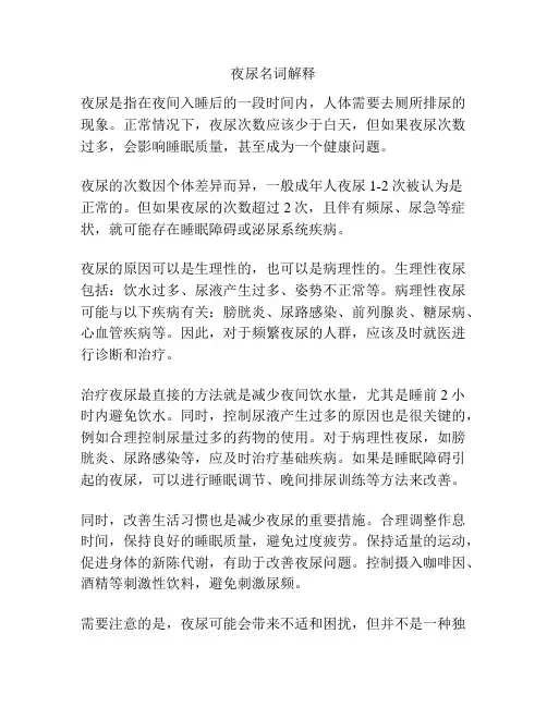夜尿名词解释