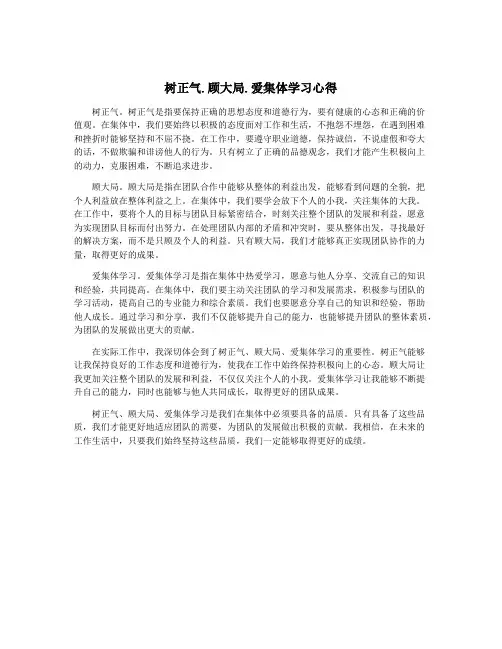树正气.顾大局.爱集体学习心得