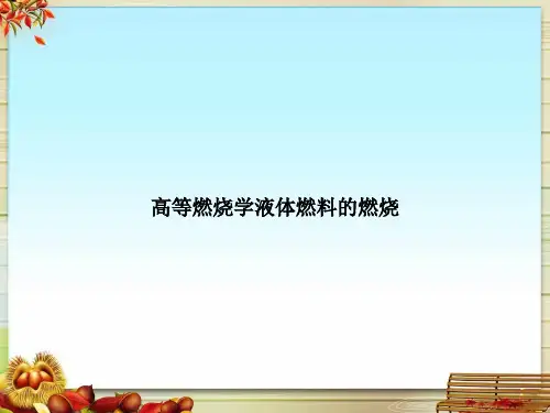 高等燃烧学液体燃料的燃烧