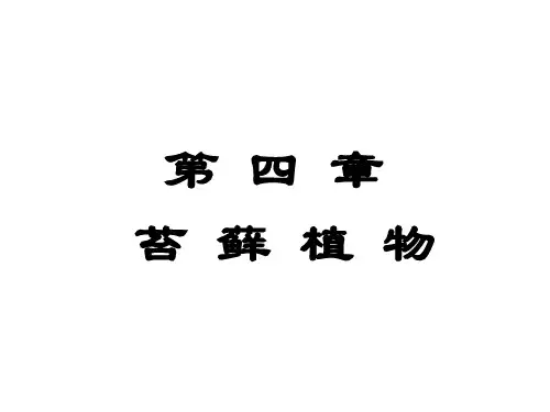 第5章(总第8章) 苔藓植物