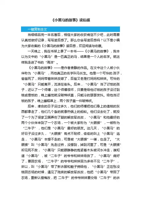 《小黑马的故事》读后感