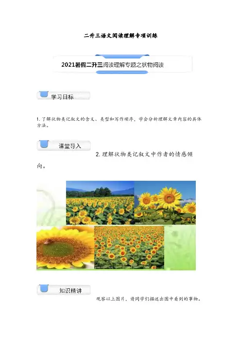 二升三语文阅读理解专项训练