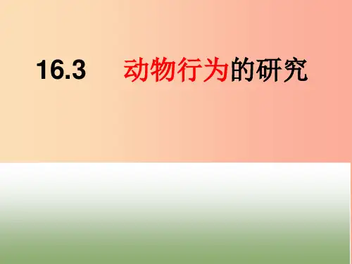 八年级生物上册 16.3《动物行为的研究》课件2 (新版)北师大版