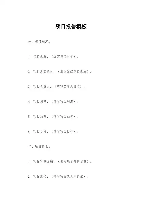 项目报告模板