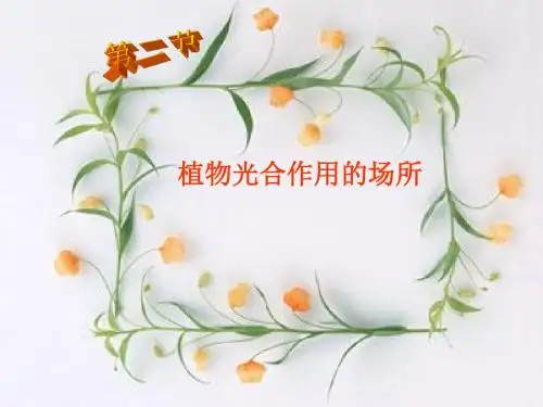 七年级生物上册 6.2  植物光合作用的场所  课件 (2) (