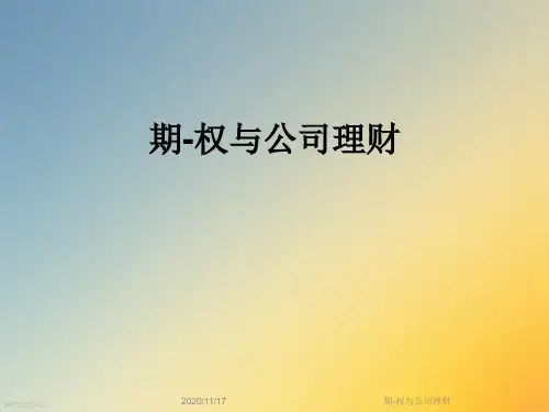 期-权与公司理财