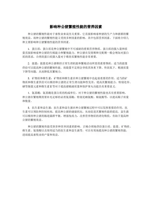 影响种公猪繁殖性能的营养因素