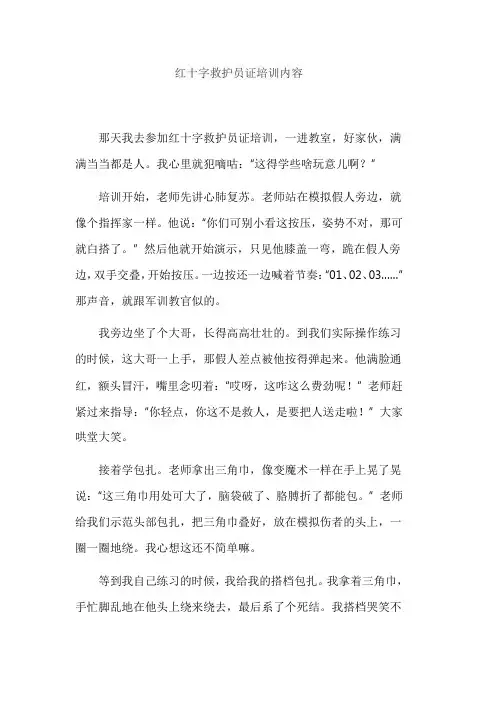 红十字救护员证培训内容
