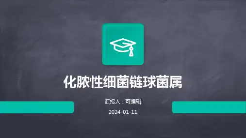 化脓性细菌链球菌属