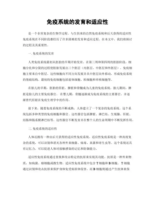 免疫系统的发育和适应性