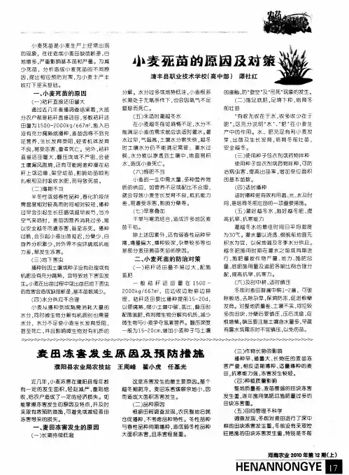 小麦死苗的原因及对策