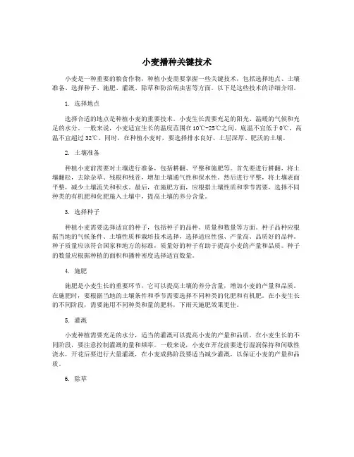 小麦播种关键技术