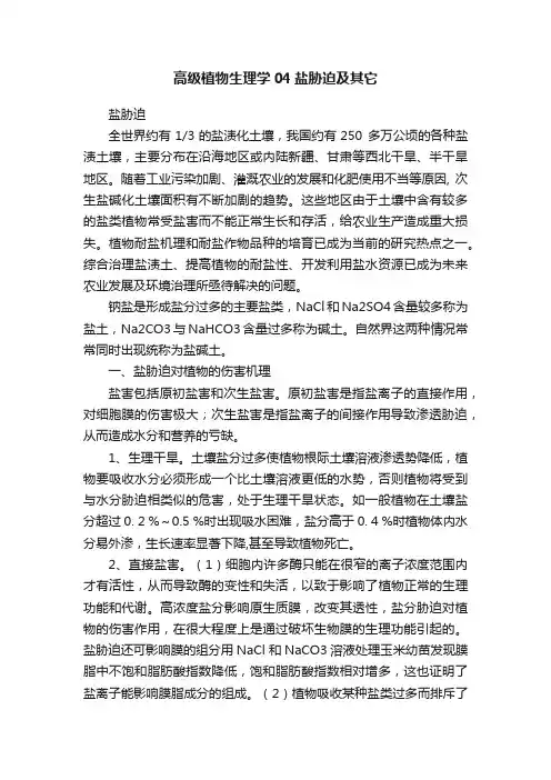 高级植物生理学04盐胁迫及其它