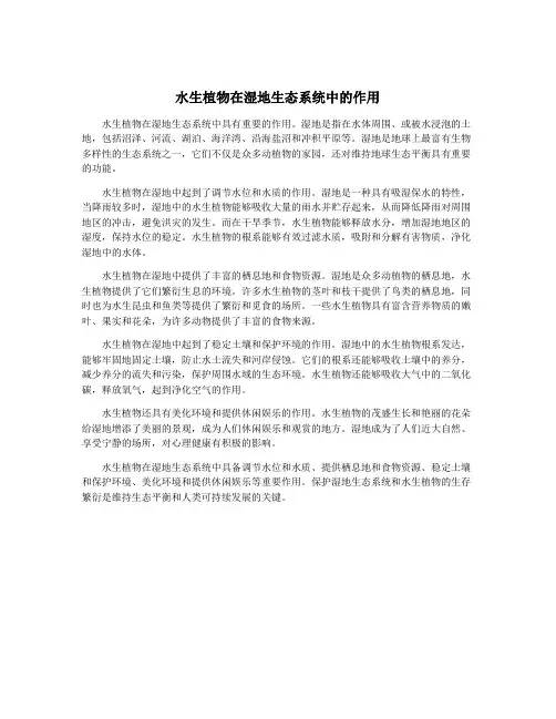 水生植物在湿地生态系统中的作用