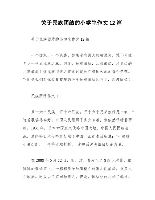 关于民族团结的小学生作文12篇