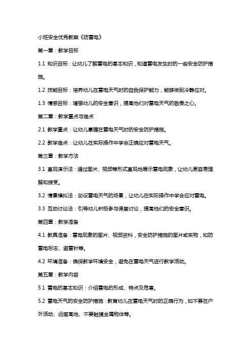 小班安全教案《防雷电》