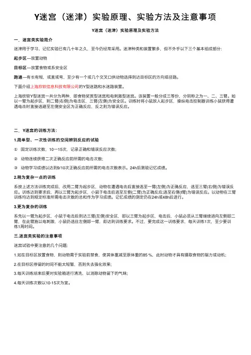 Y迷宫（迷津）实验原理、实验方法及注意事项