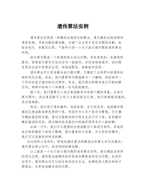 遗传算法实例