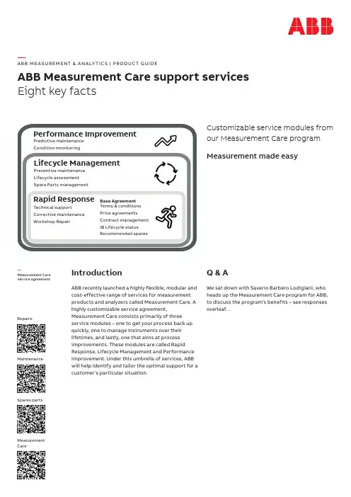 ABB 测量仪器与分析设备产品指南说明书