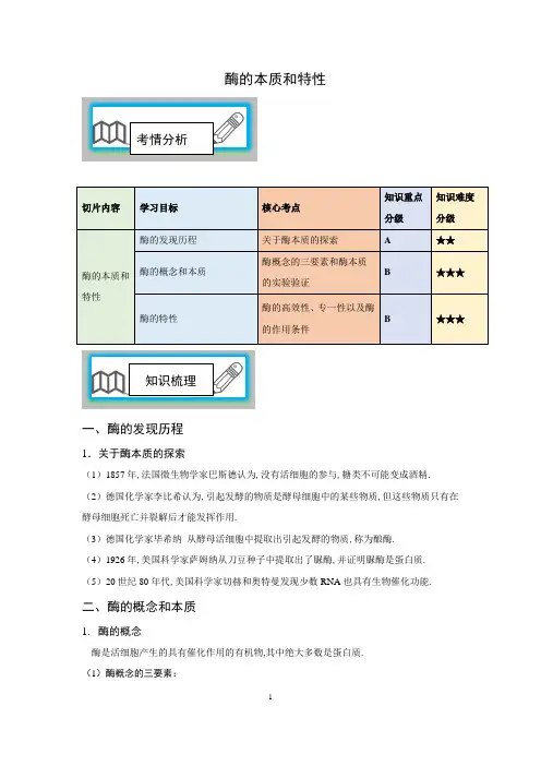 酶的本质和特性3