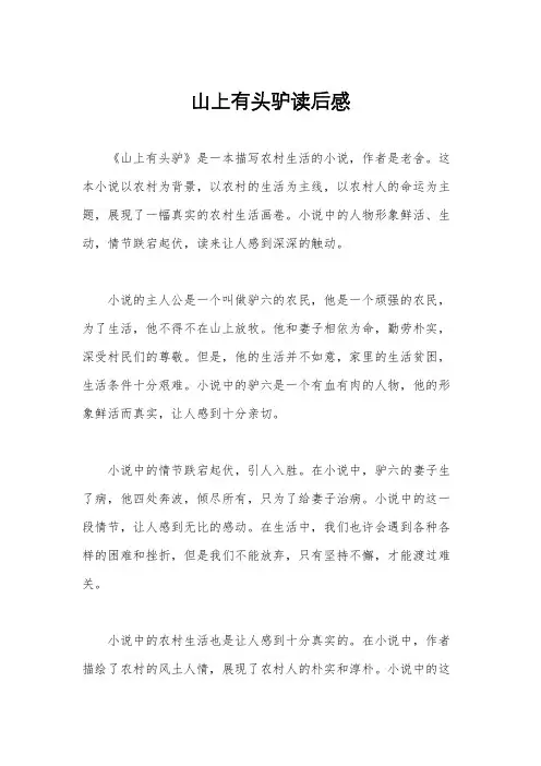 山上有头驴读后感