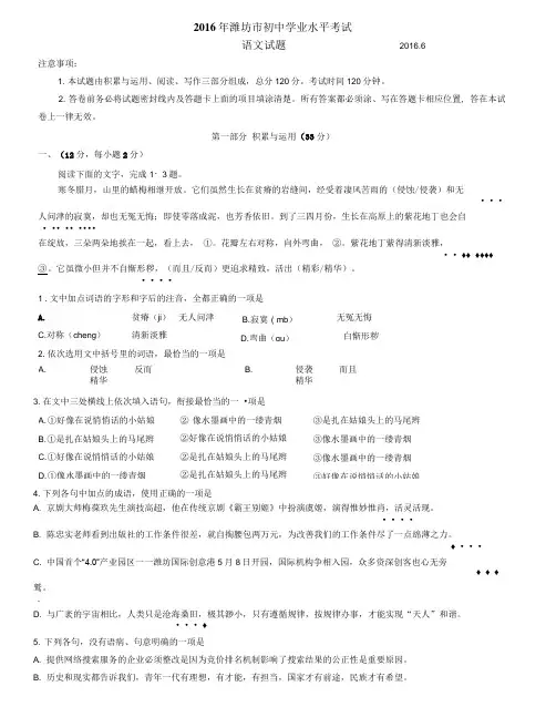 山东省潍坊市2016年中考语文试题