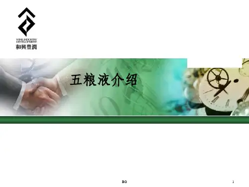 五粮液公司介绍