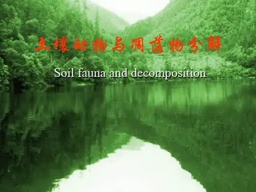 土壤动物与凋落物分解
