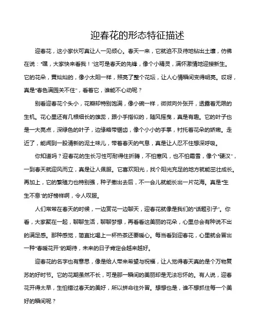 迎春花的形态特征描述