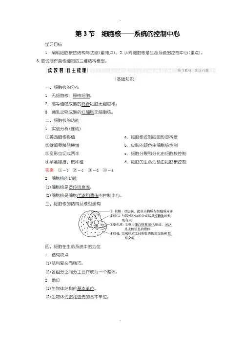 人教版高中生物必修一学案：3.3 细胞核——系统的控制中心含答案