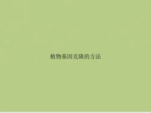 植物基因克隆的方法