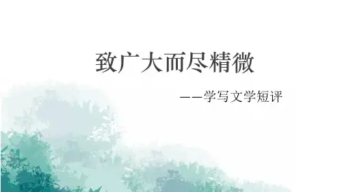 学写文学短评(精品课件)