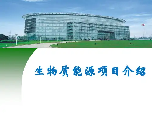 生物质能源项目介绍
