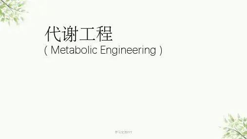 代谢工程概述课件