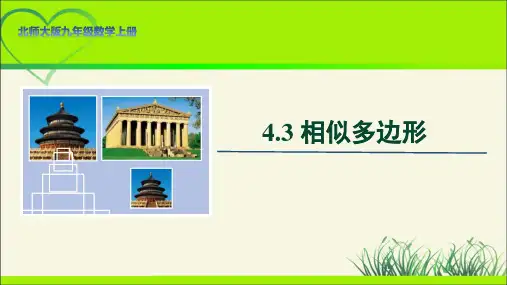 北师大版九年级数学上册《相似多边形》示范公开课教学课件