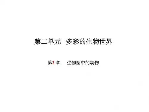 2018山东省菏泽市中考生物一轮复习课件 生物圈中的动物 (共41张PPT)