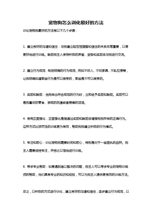 宠物狗怎么训化最好的方法