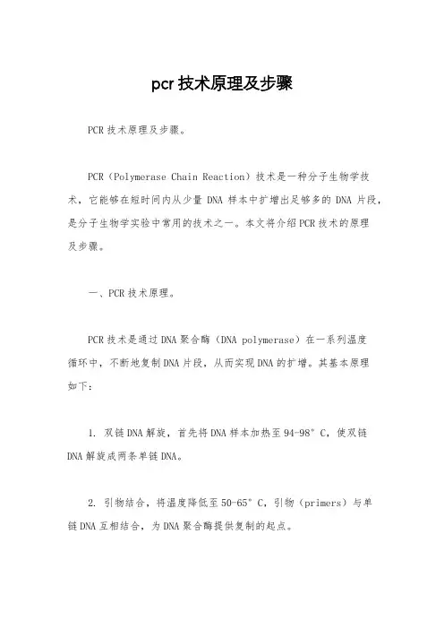 pcr技术原理及步骤