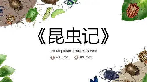昆虫记-读书分享课件
