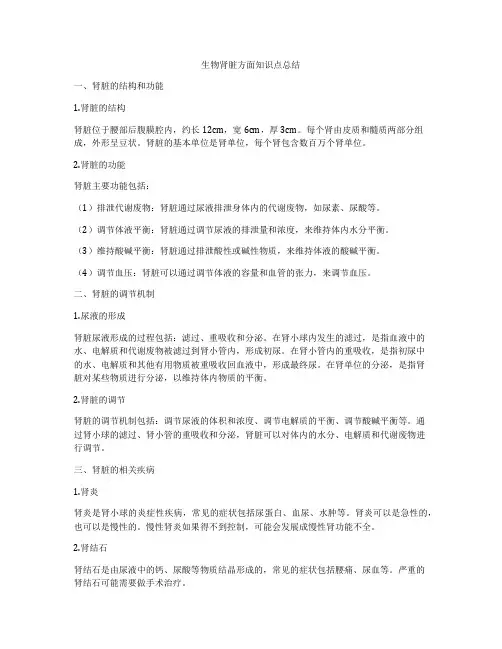 生物肾脏方面知识点总结