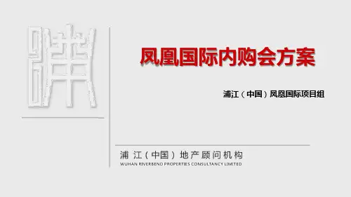 凤凰国际定价报告初稿