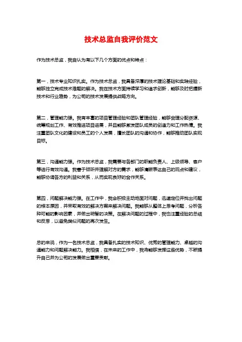 技术总监自我评价范文