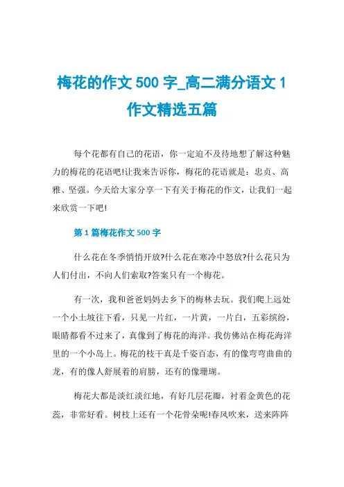 梅花的作文500字_高二满分语文1作文精选五篇